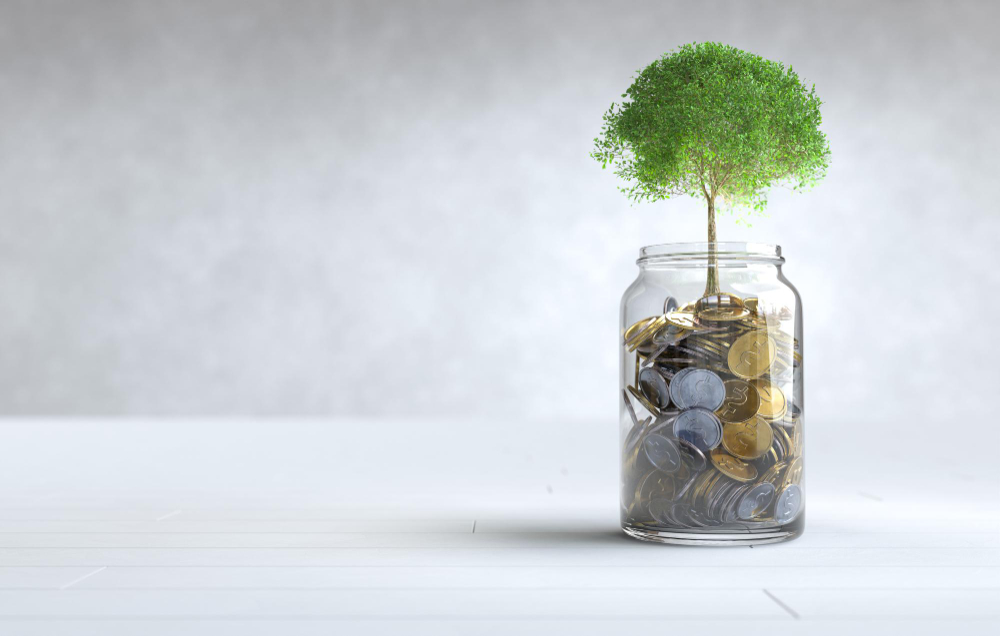 Loan Against Investment